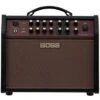 BOSS Acoustic Singer Live LT Acoustic Amplifier