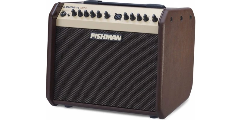 Fishman Loudbox Mini (With Free Slip Cover While Stocks Last)