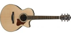 Ibanez AE205JR Open Pore Natural