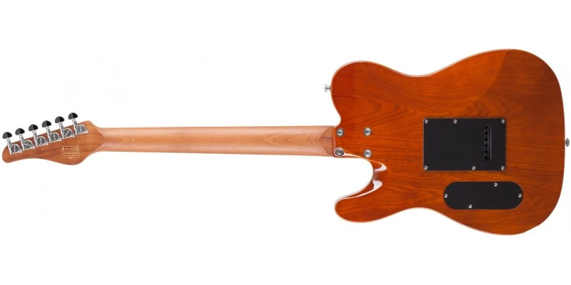 Schecter PT Van Nuys Gloss Natural Ash - Image 6