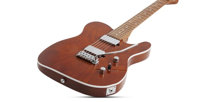 Schecter PT Van Nuys Gloss Natural Ash - Image 5