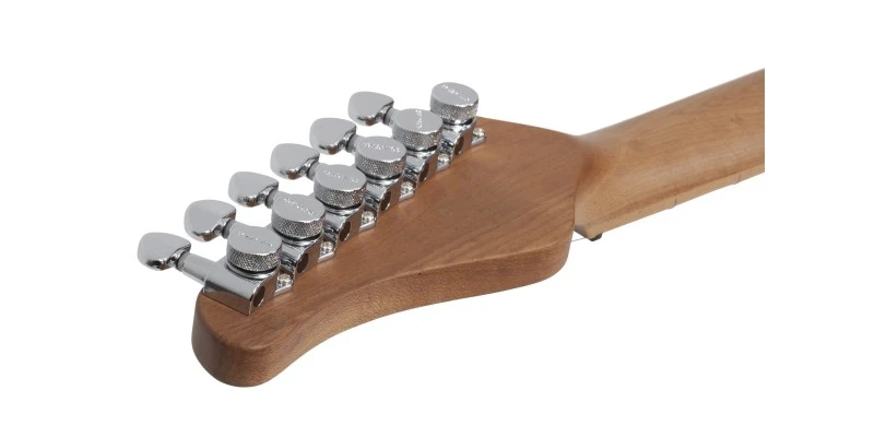 Schecter PT Van Nuys Gloss Natural Ash - Image 18