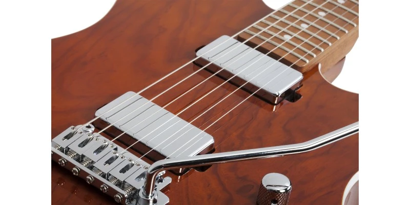 Schecter PT Van Nuys Gloss Natural Ash - Image 13