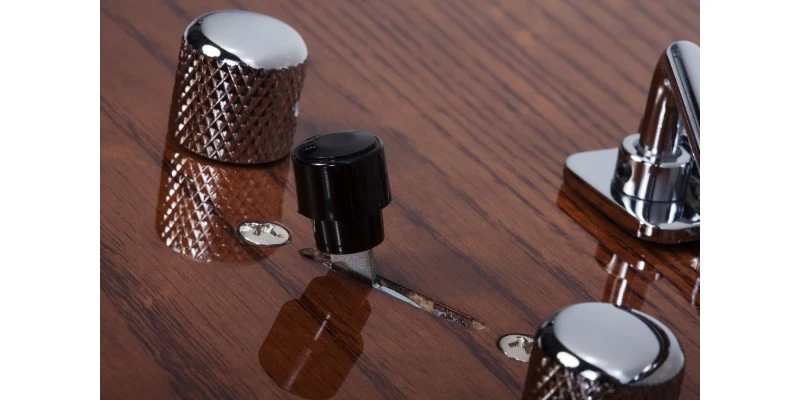 Schecter PT Van Nuys Gloss Natural Ash - Image 12