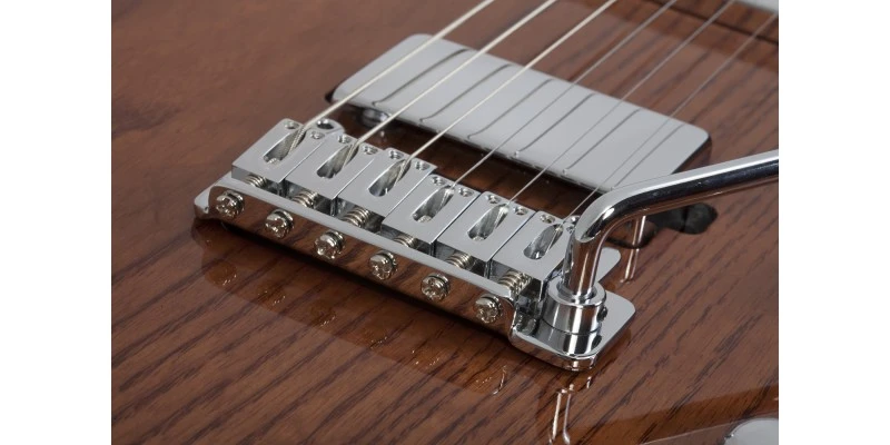 Schecter PT Van Nuys Gloss Natural Ash - Image 10