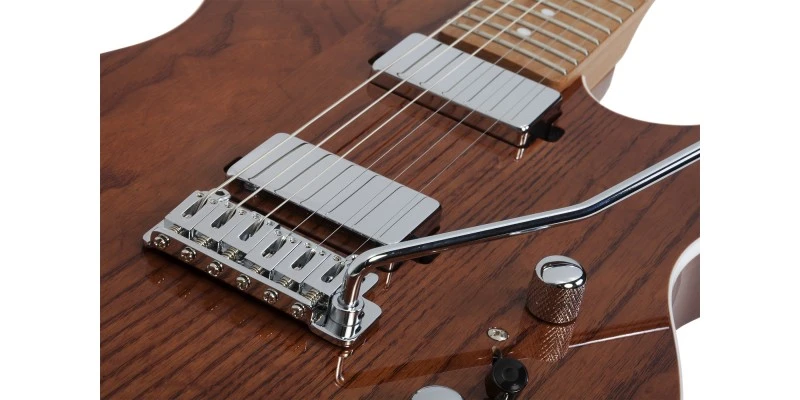 Schecter PT Van Nuys Gloss Natural Ash - Image 9